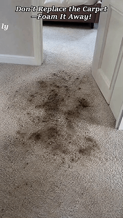Waterless Carpet Foam Stain Remover demonstration