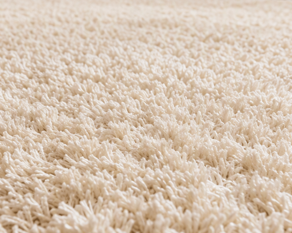 Carpet After Cleaning
